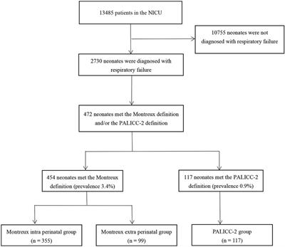 The perinatal period should be considered in neonatal acute respiratory distress syndrome: comparison of the Montreux definition vs. the second pediatric acute lung injury consensus conference definition